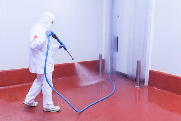 Best Paint Preparation  in Halfway House, PA